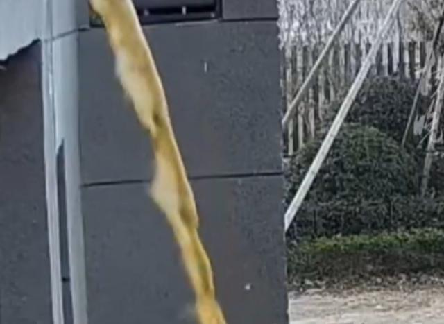 80多万元买的新房被粪水环绕……楼上住户擅改卫生间管道将污粪水直排一楼外墙并喷溅至窗户